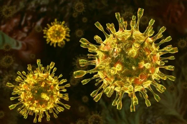 Lees meer over het artikel Waarom zou je bacteriën verwijderen?