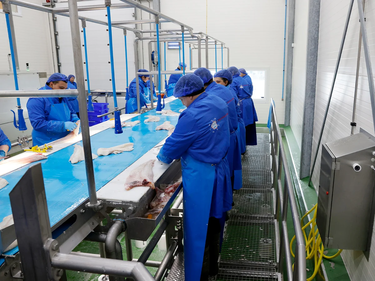 Lees meer over het artikel Desinfectie tot op de kubieke millimeter